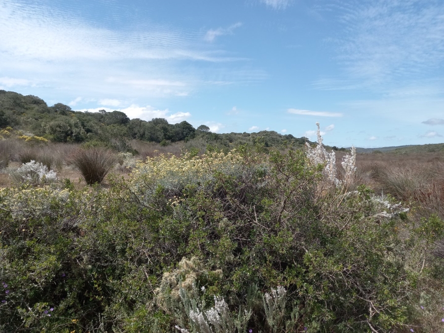 3 Bedroom Property for Sale in Stilbaai Rural Western Cape